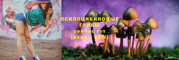 дурь Новокубанск