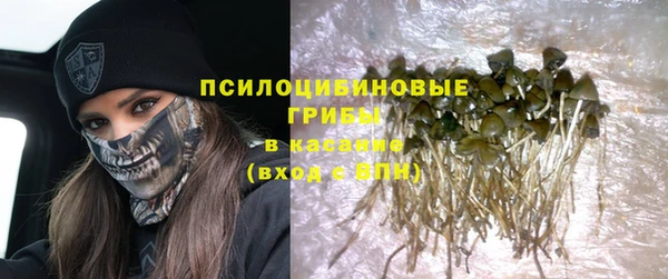 spice Арсеньев
