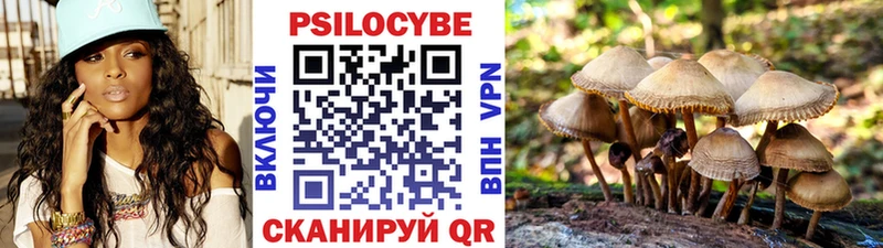 где найти наркотики  Сарапул  ОМГ ОМГ как войти  Галлюциногенные грибы GOLDEN TEACHER 